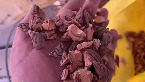 Walnut/Almond Nut Sorting Machine For Kernel  and Shell Separation With InGaAs Technology #sortex