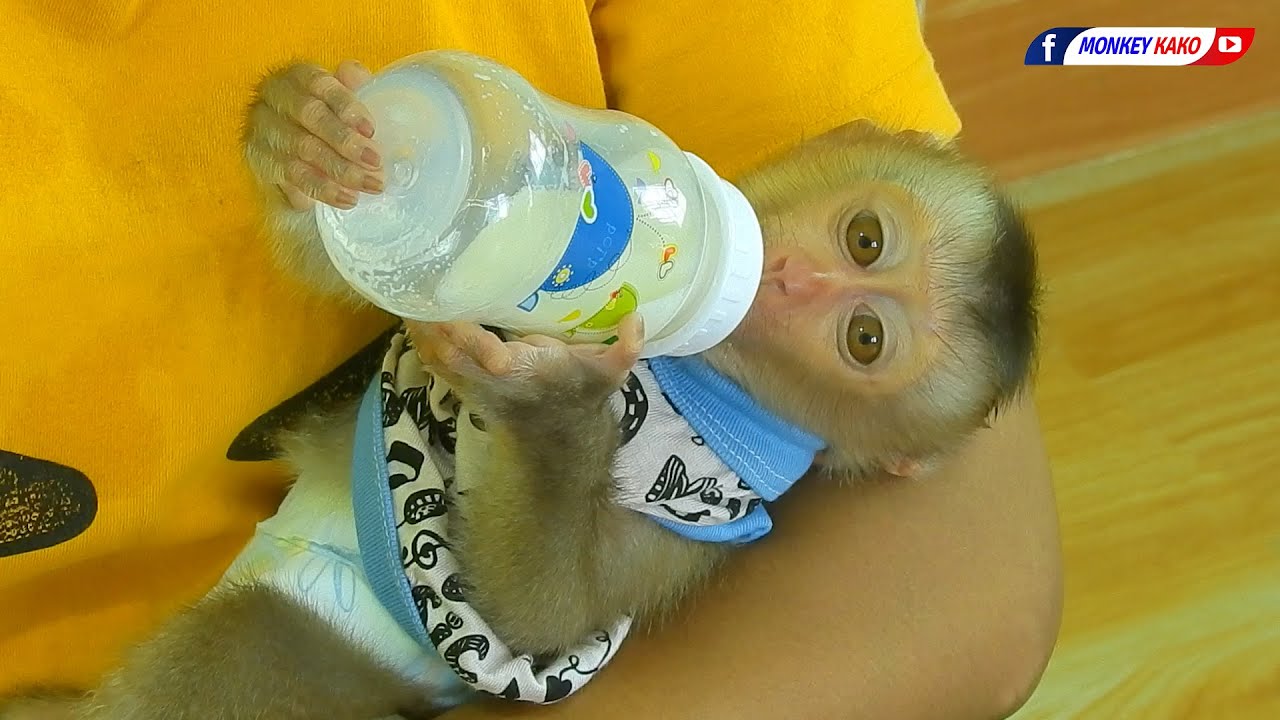 Cute Tiny Nina Wear Beautiful New Clothe And Drinking Milk