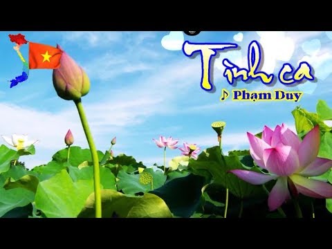 Video [Karaoke] TÌNH CA - Phạm Duy (Giọng Nam: Cm) - youtube
