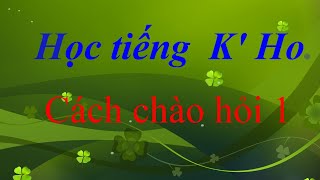 #Học tiếng K' Ho. Cách chào hỏi tập 1 screenshot 5