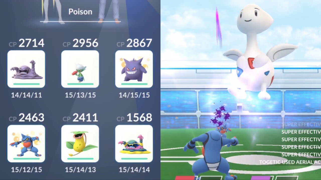 6 unique poison vs togetic duo in cloudy