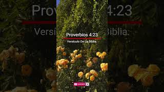 Proverbios 4:23 -Versículo De La Biblia #frases #frasesbiblicas #reflexiones