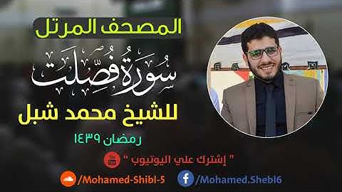 سورة فصلت للشيخ محمد شبل