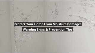 Moisture Damage Warning Signs | How to Protect Your Home & Prevent Costly Repairs