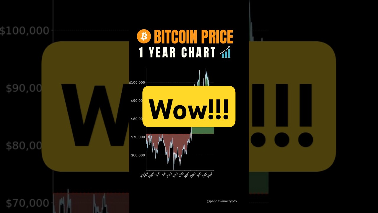 Bitcoin (BTC) One Year Price Chart Is Up BIG (March 14)