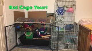 SCN/DIY Rat Cage Tour