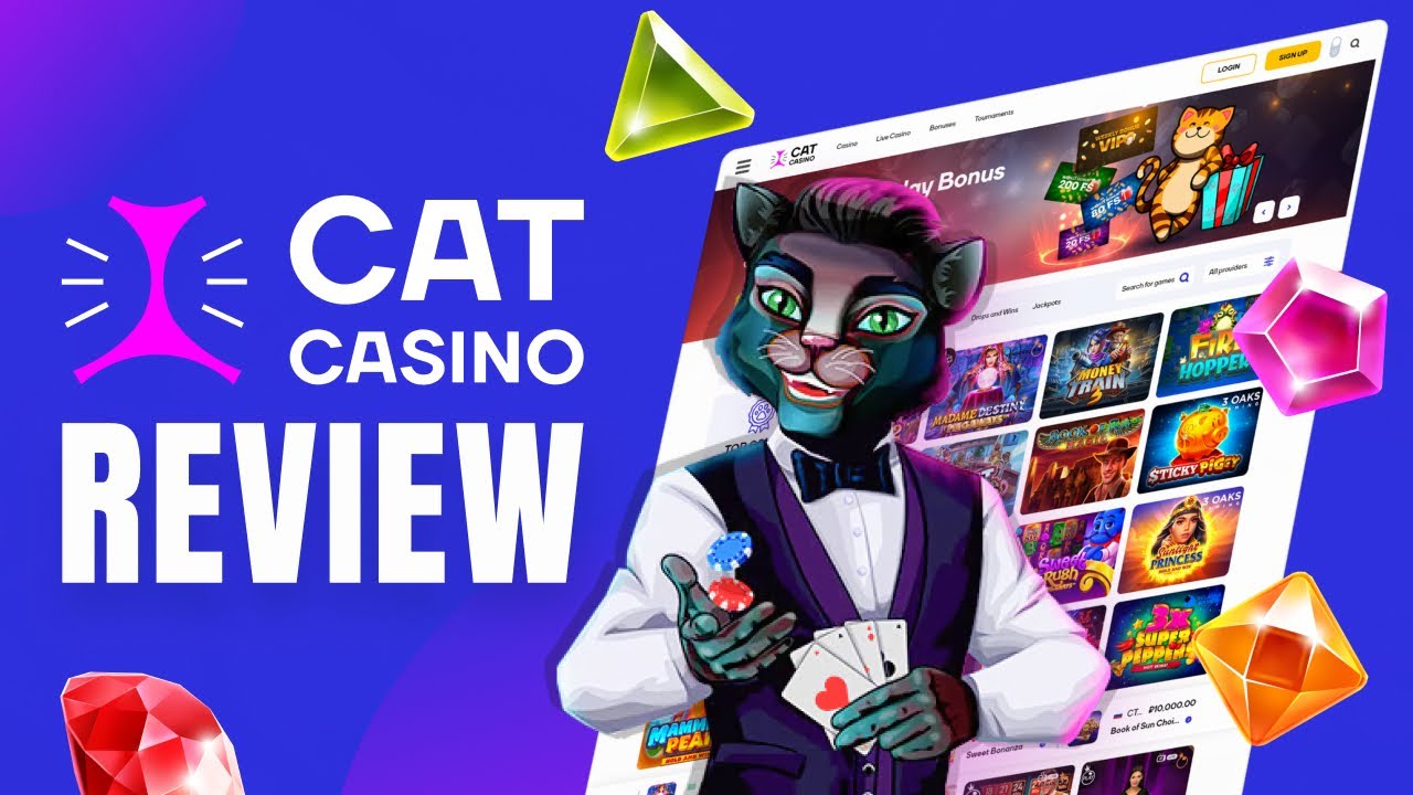 Cat casino бездепозитный бонус cat casino game