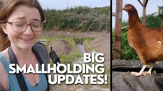 Burying Bodies and 5 New Additions - Smallholding Updates!