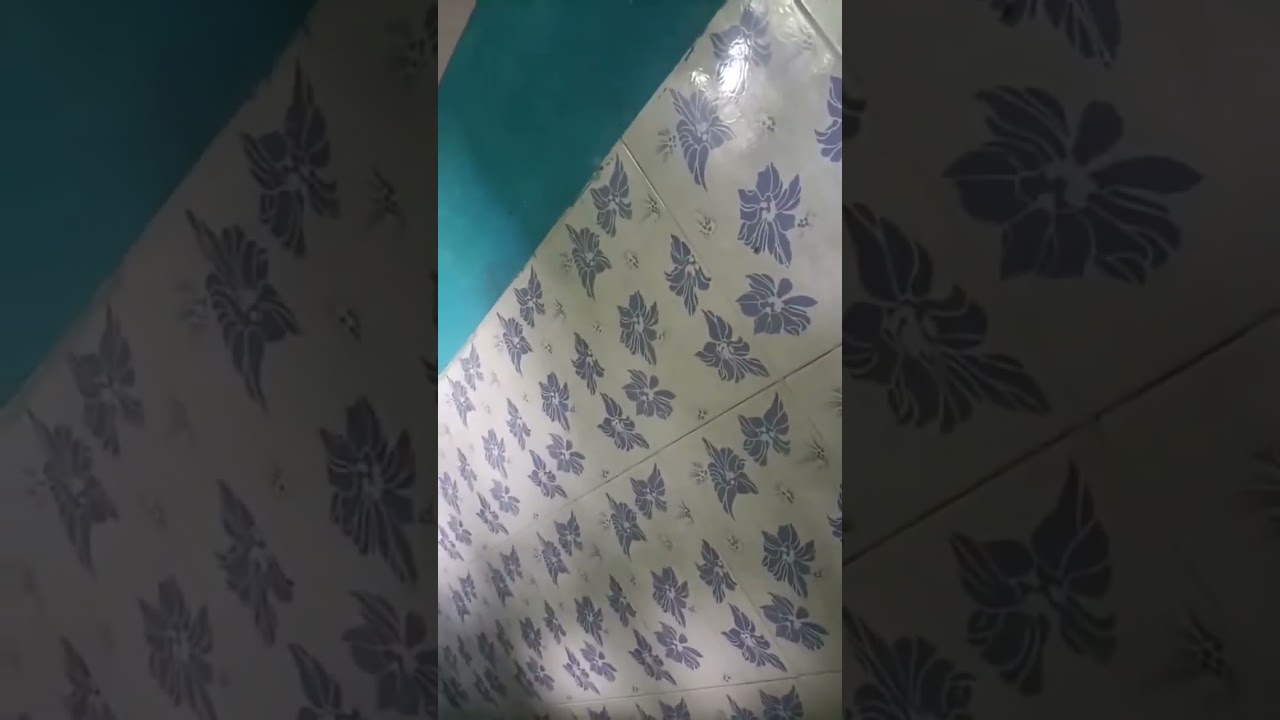 FULL INSIDE ROOM VIDEO OF RED LIGHT AREA || RED LIGHT AREA FULL VIDEO #gb #road #red #area 