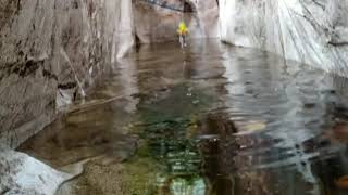 Jump Frog Triangle 2,5Cm Frlures