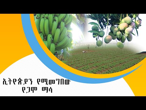 ቪዲዮ: የከተማ ስርዓትን በመጠቀም እንዴት እንደሚከፍሉ