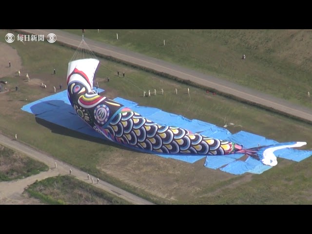 青空泳ぐ「世界一のジャンボこいのぼり」 埼玉・加須市 - YouTube