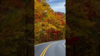 Amazing fall color in East Tennessee