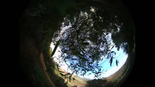Bryan Allot - Gear Testing 360Fly HD Camera