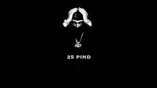 Download Lagu 25 PIND MP3