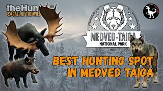 BEST HUNTING SPOT in Medved Taiga - Call of the Wild