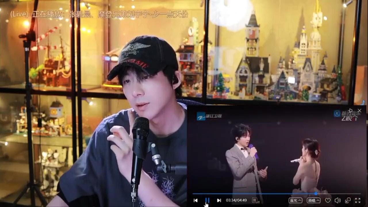 [류우녕]250426 라이브방송_의역오역난무함(재업로드)