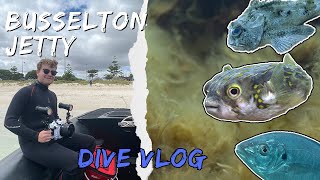 Is This the Best Pier Dive in Australia? (Busselton Jetty Dive Vlog) #scubadiving