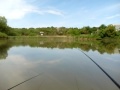 Рыбалка в Ставрополе на дачном пруду по Зеленой роще часть 1