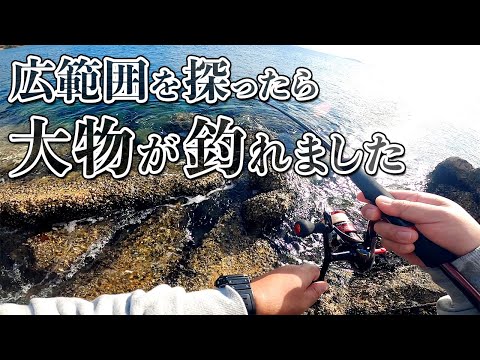 【穴釣り】広範囲を探ったら大物が釣れました