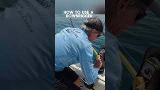 How to use a downrigger to up your #fishing game #kingfish #downrigger