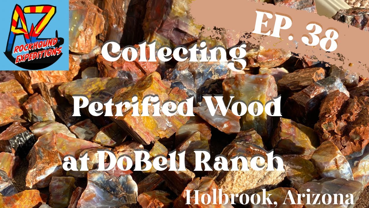Эпизод 38. Сбор окаменелой древесины на ранчо DoBell. Холбрук, Аризона. 