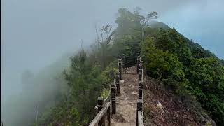 Nature Relaxation – Deep Sea & Tropical Fish (Soothing Whisper) #NatureRelaxation #SleepMusic screenshot 5