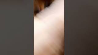 Noels Lament Singles Awareness Day Aka Valentines Day Makeup Transition