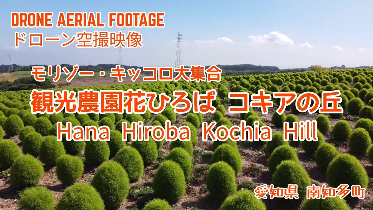 観光農園花ひろば コキアの丘 モリゾー・キッコロ大集合（愛知県南知多
