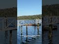 Petite leçon de géographie de la part de David, WestWind Harbour, île de Vancouver