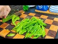Why Your Bitter Gourd Isn’t Tasty!