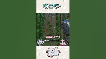 哈基咪~ #fps #apex #apexlegends #遊戲實況 #台灣vtuber #twitch #apexvtuber #實況主 #shorts  #short  #apex女子