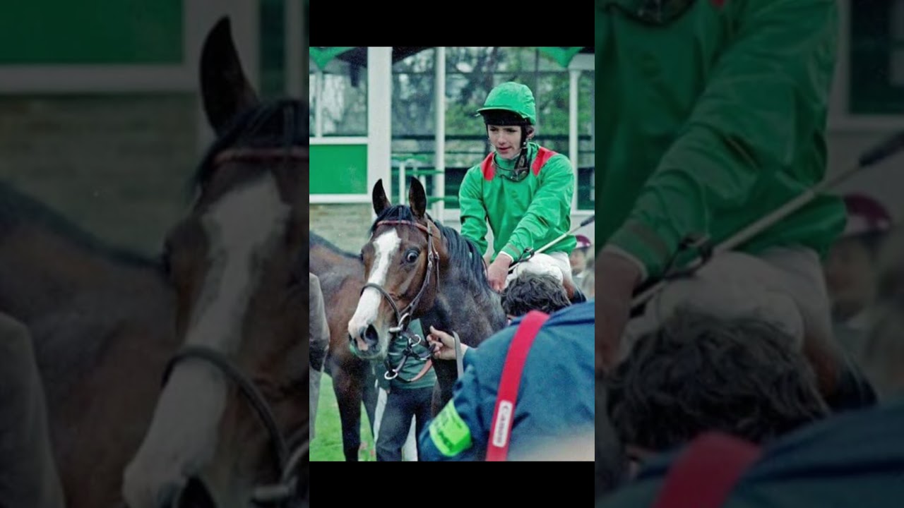 What happened to Shergar? 