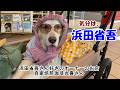 【浜田省吾】ファンの我が家がテンションあげあげになったお店。