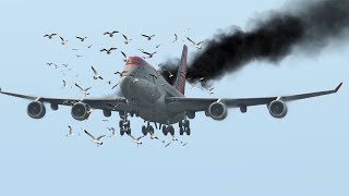 Brave Pilot Saved 340 Passengers With This Emergency Landing screenshot 5