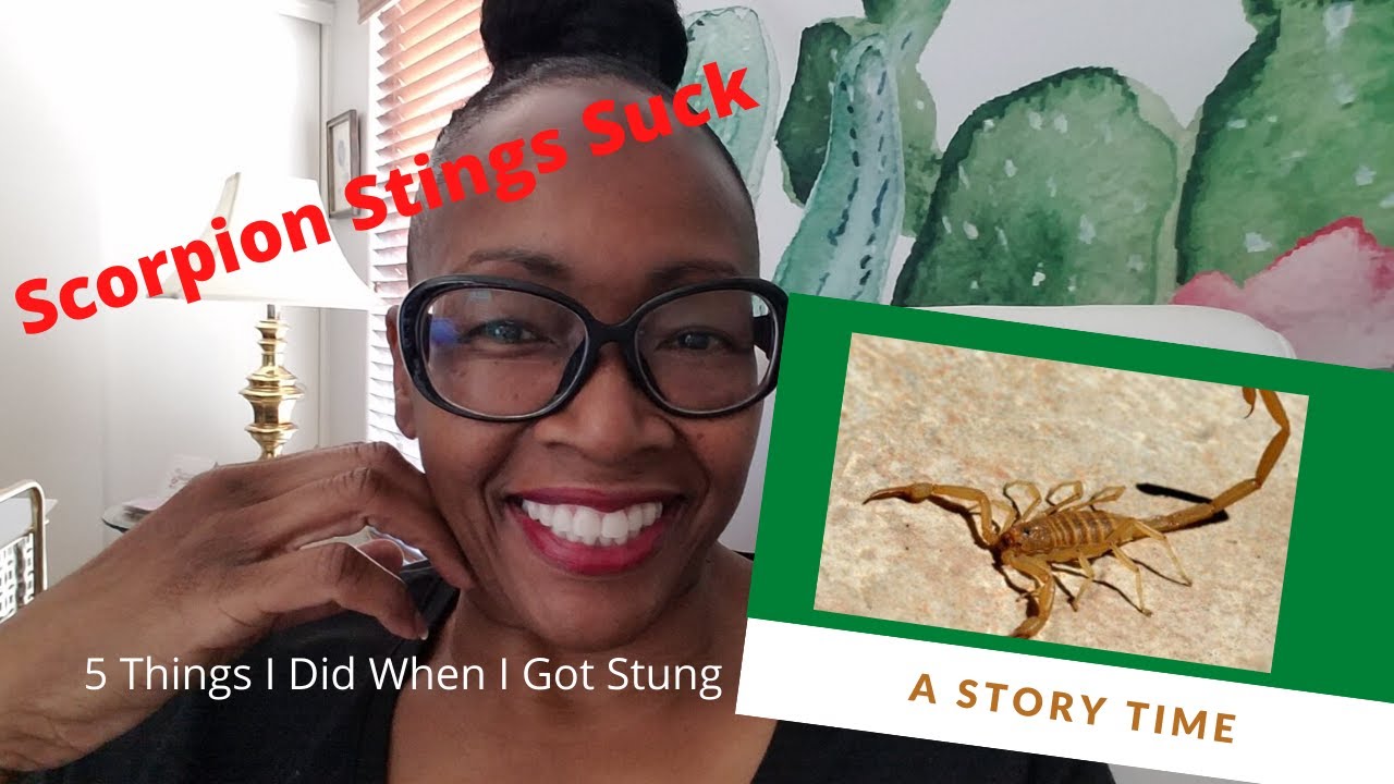 I Got Stung By An Arizona Bark Scorpion Storytime Youtube