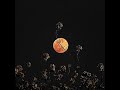 The moon is the beautiful isn't it//月が綺麗ですね//edit//meme//bulan itu sungguh cantik,iya kan?