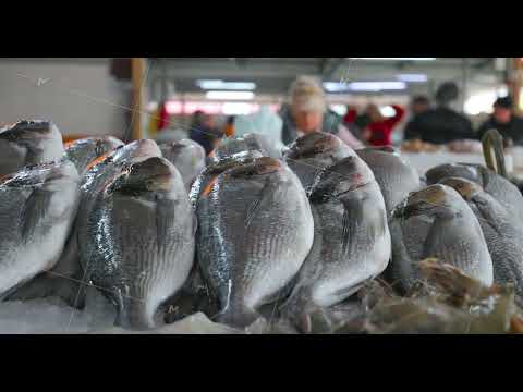 View On Gilt-head Sea Bream Sparus, a Graphic by Our Amazing World (Thumbnail 2 of 2)