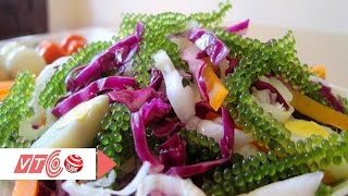 Ăn rong nho biển trẻ mãi không già | VTC