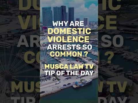 Florida Domestic Violence Arrests: Why Police May Arrest Even When the Facts Are Disputed