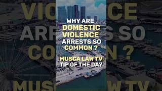 Florida Domestic Violence Arrests: Why Police May Arrest Even When the Facts Are Disputed