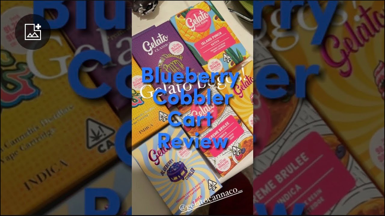 BLUEBERRY COBBLER FROM GELATO CANNA CO