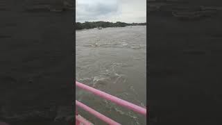 Manjeera water flow near Yedupayala screenshot 3