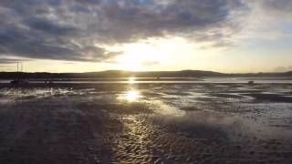 IMG 1793 IMG 1793
