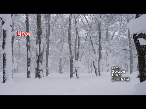 심야의 도서관 | 눈 내리는 숲, 장작타는소리+피아노(다른방) Study with me 스윗미