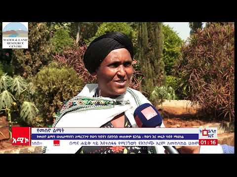 ምሽት 100 ትዕይንተ ዜና ባሕር ዳር መጋቢት 25 2017 ዓ ም አሚኮ