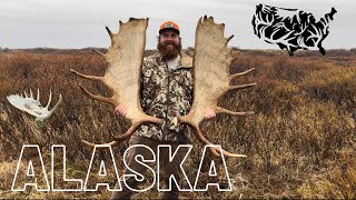 DREAM TRIP (ALASKA MOOSE SHEDS PART 1)