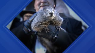 What groundhogs can do besides predict the weather