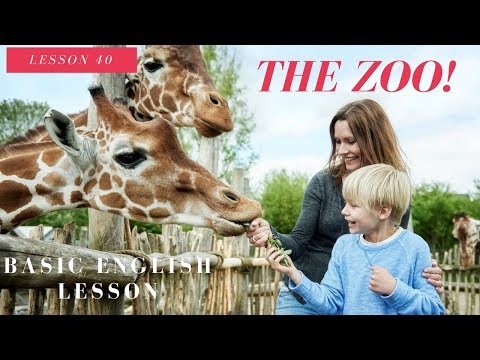 Basic English Lesson 40 Writing Sentences about the Zoo 영어 레슨