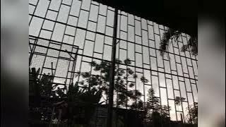 Evening Breeze, Rooftop Peace